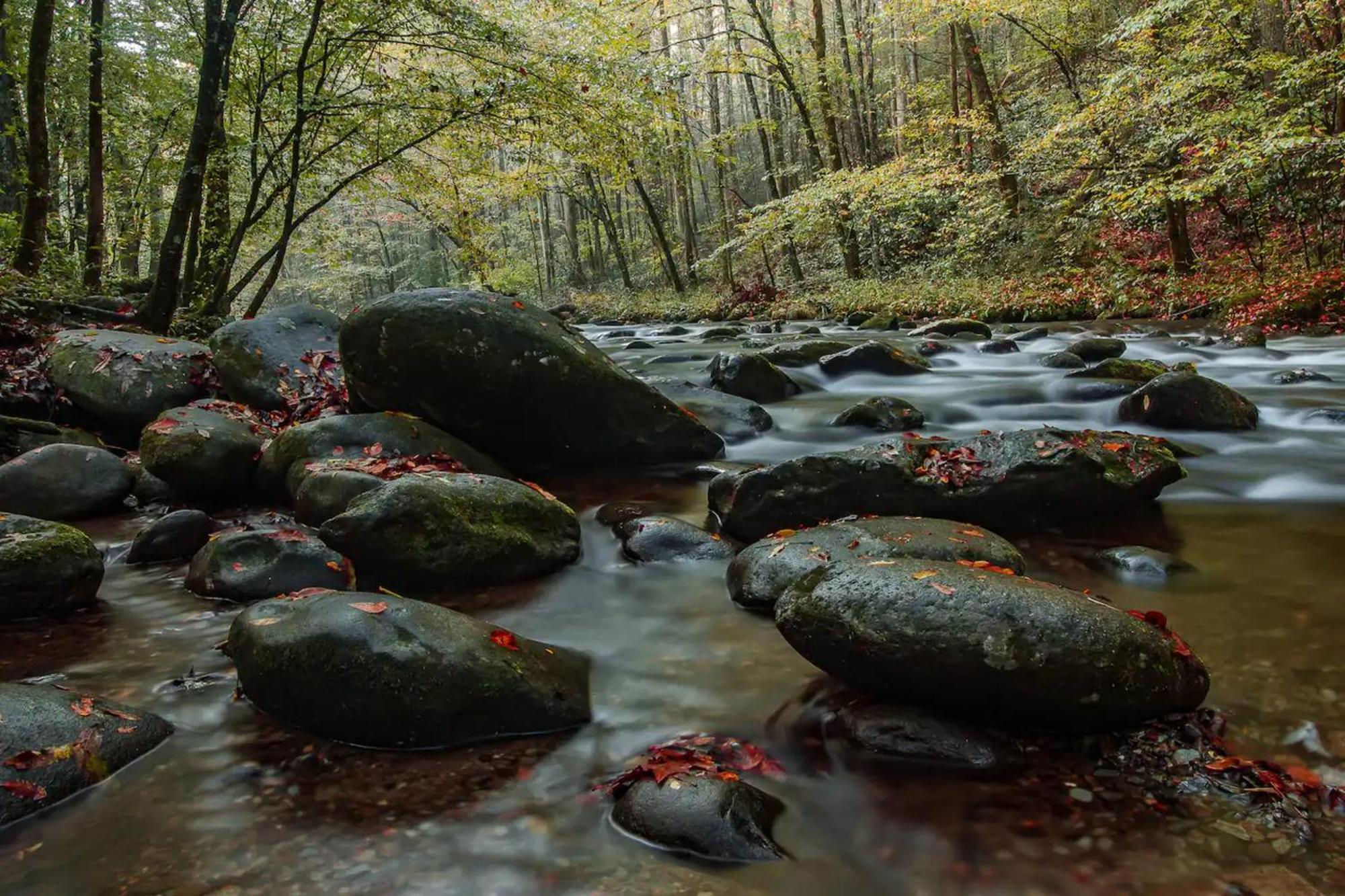 Views 1Br15Bath Pet-Friendly With Hot Tub & Bbq Pigeon Forge Exteriör bild