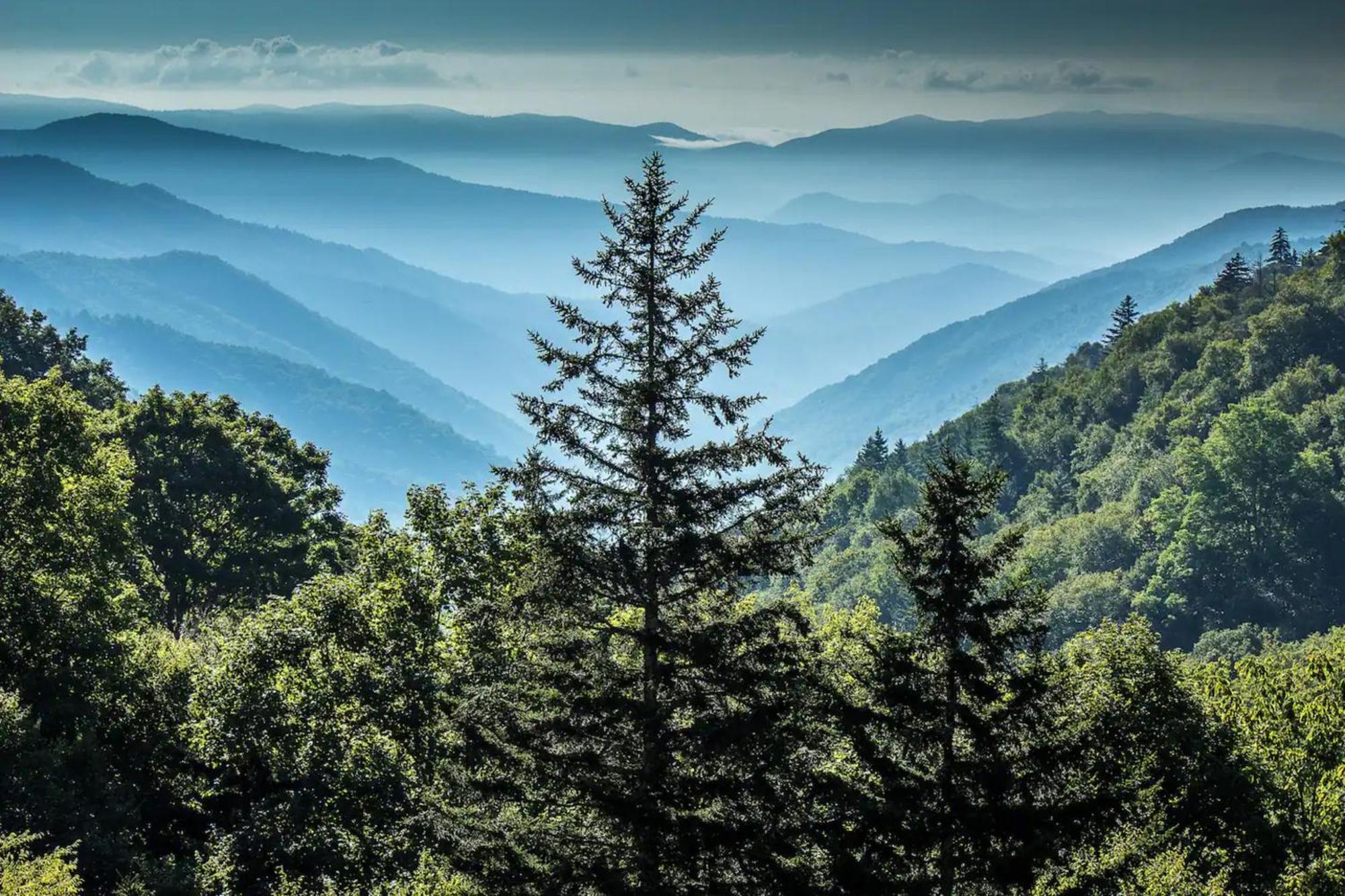 Views 1Br15Bath Pet-Friendly With Hot Tub & Bbq Pigeon Forge Exteriör bild