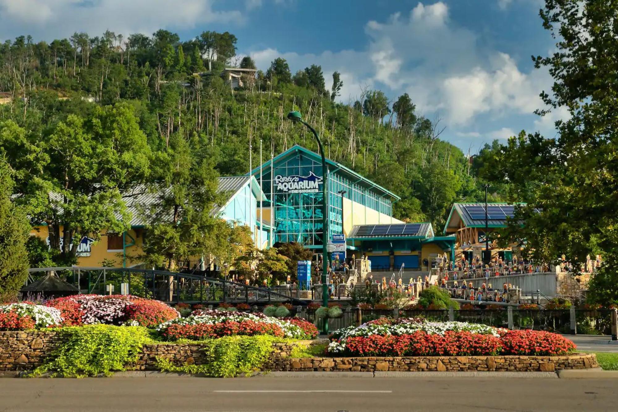 Views 1Br15Bath Pet-Friendly With Hot Tub & Bbq Pigeon Forge Exteriör bild